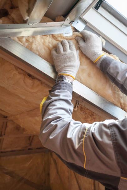 Professional Insulation Contractor in LA