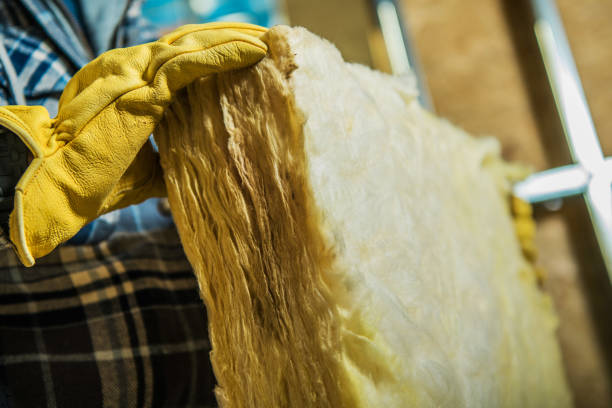 Best Insulation for Specific Applications in Bayou Vista, LA