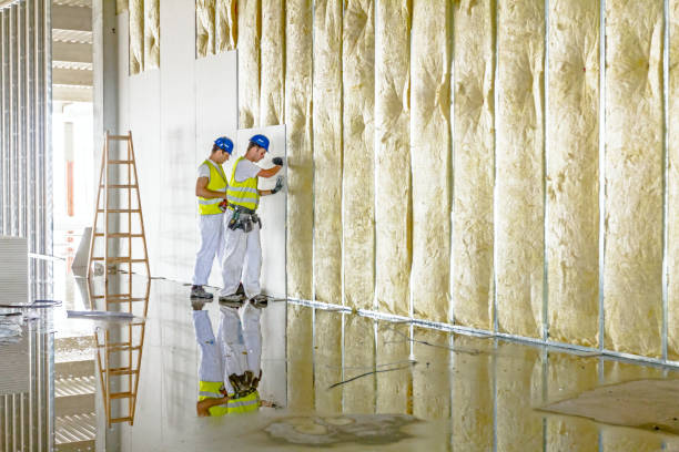 Best Insulation for Specific Applications in Bayou Vista, LA